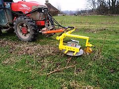 Sonstige Blackcurrant / Fruit Bush trimmer & pruning cutter